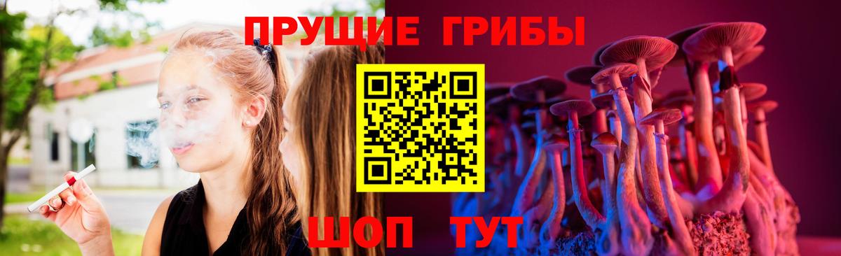 Междуреченск  Галлюциногенные грибы GOLDEN TEACHER  даркнет сайт  Вход с VPN 